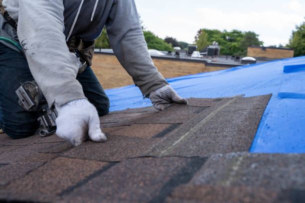 Professional Roofing Contractor in Hardeeville, SC